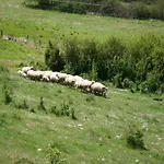Passignano Near Trasimeno *