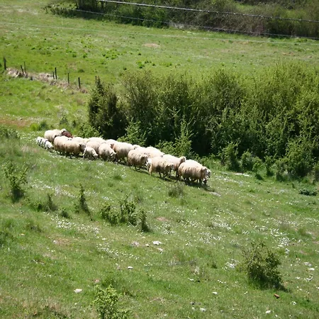 Passignano Near Trasimeno *