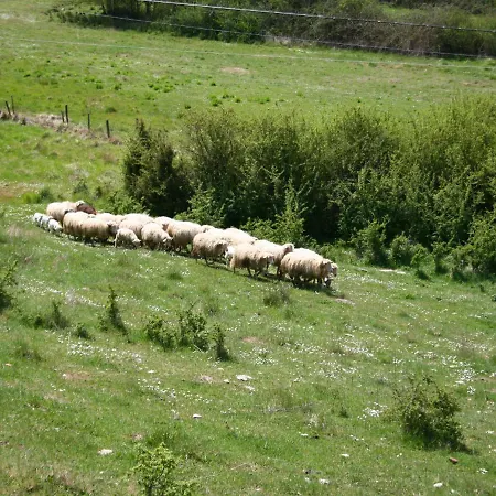 Passignano Near Trasimeno *