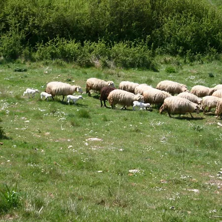 Дом отдыха Passignano Near Trasimeno *